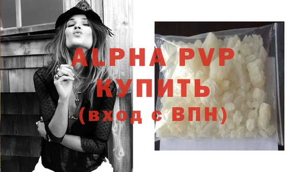 прущие крисы Ельня