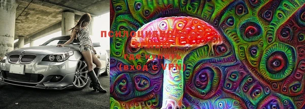 прущие крисы Ельня