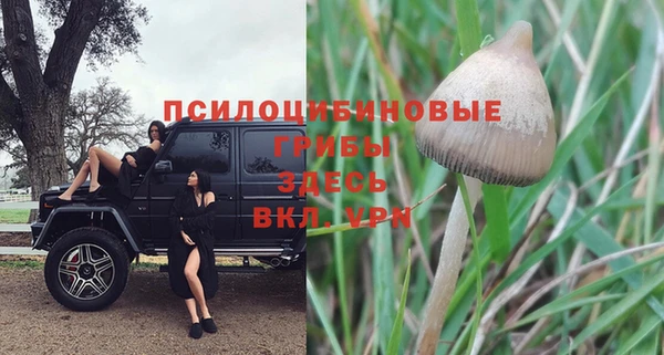 тгк Елабуга