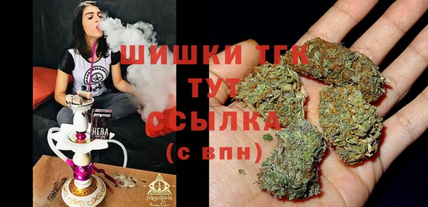 прущие крисы Ельня