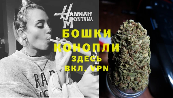 прущие крисы Ельня
