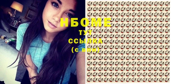 стаф Тутаев