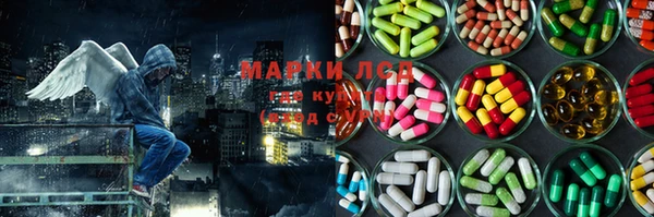 прущие крисы Ельня