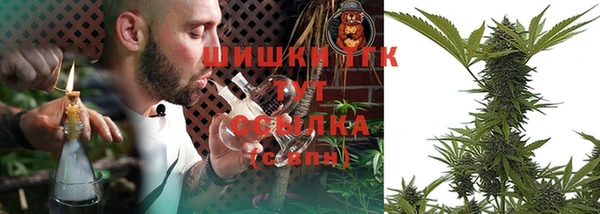 тгк Елабуга