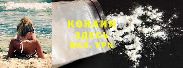 прущие крисы Ельня