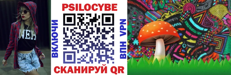 Купить закладки  Магадан  Галлюциногенные грибы Psilocybine cubensis 